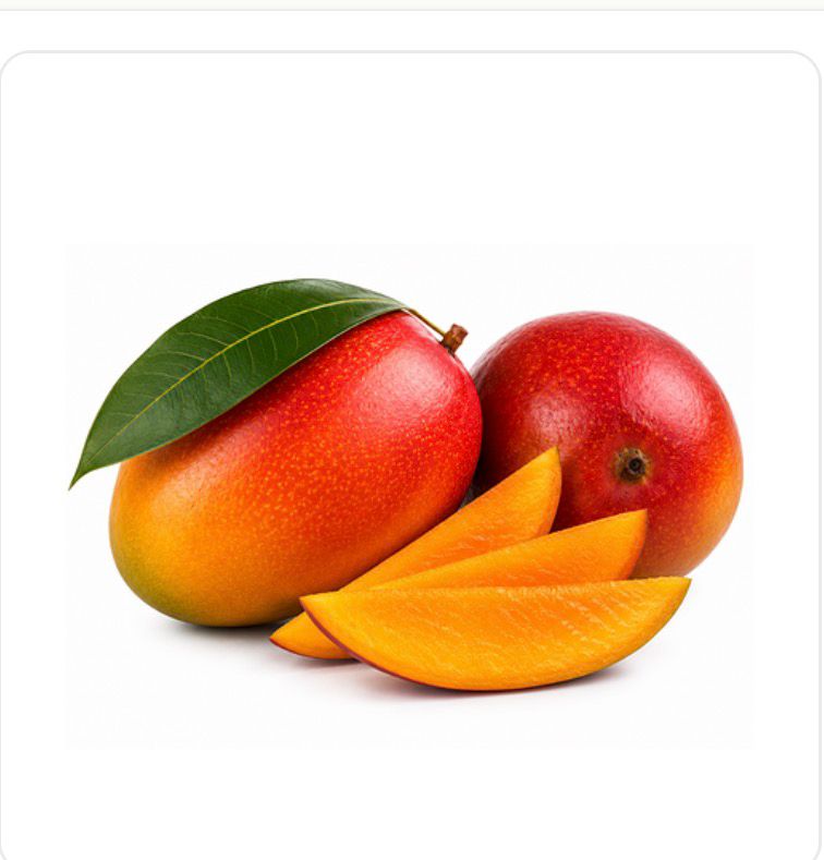 Mangue