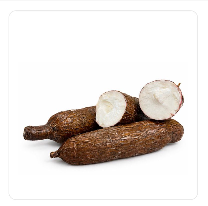 Manioc