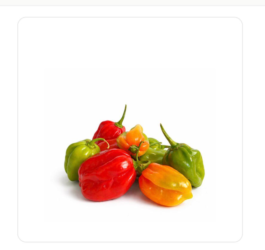 Piment antillais